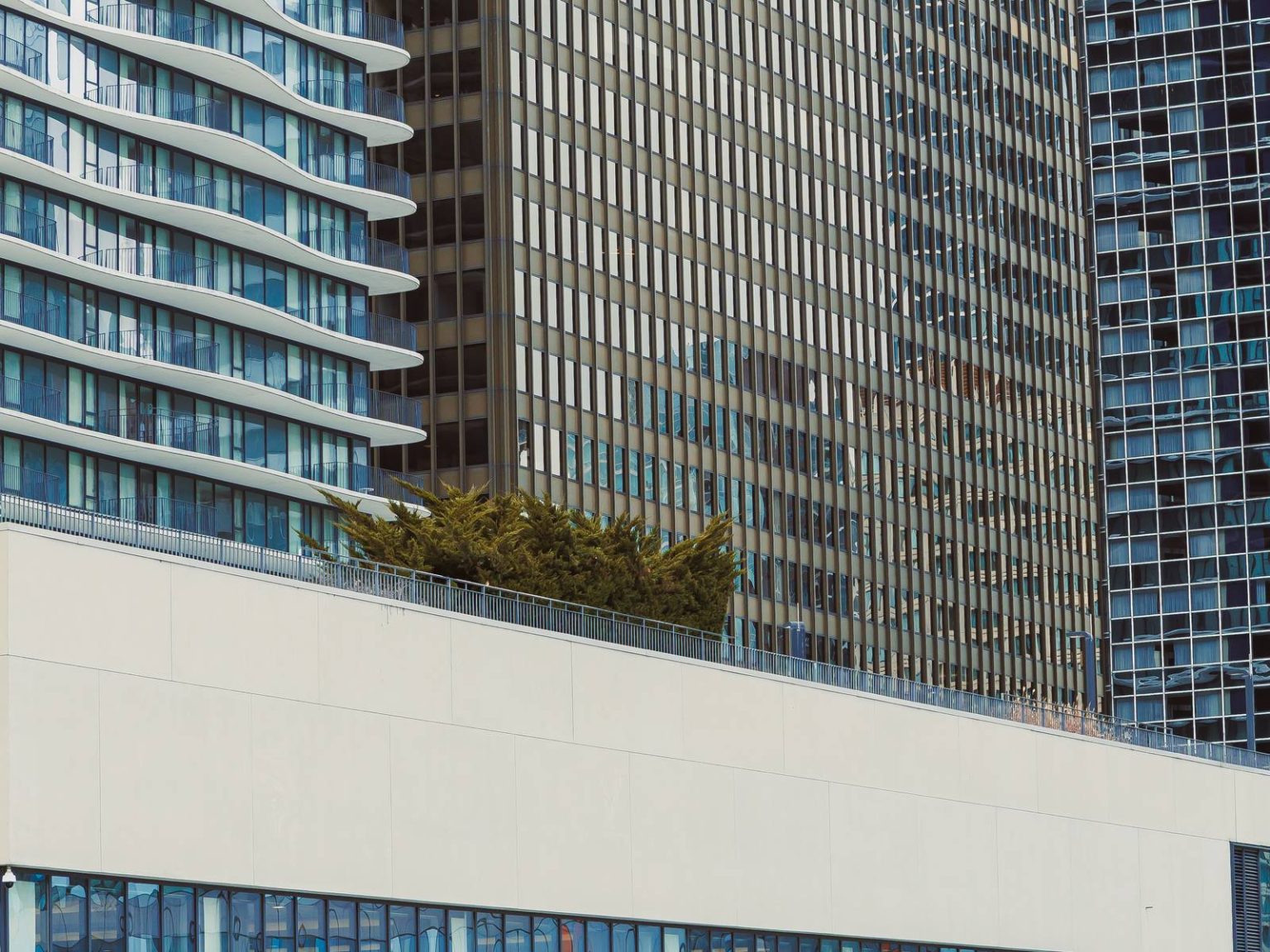 Architettura contemporanea e verde pensile